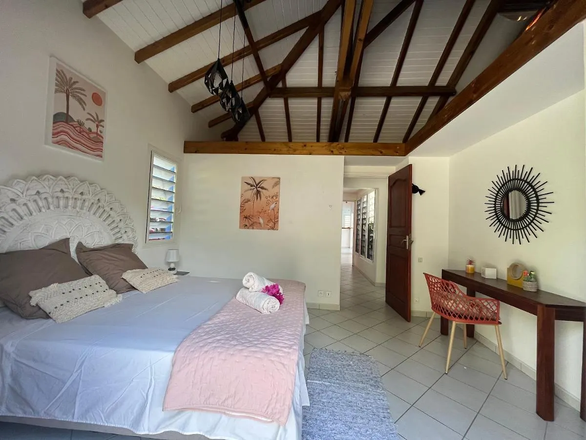 Villa Romana Saint-Francois